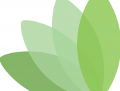 Praxis-Logo